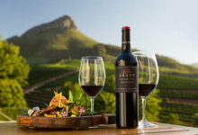 10 Best South African Wine Regions You Must Visit