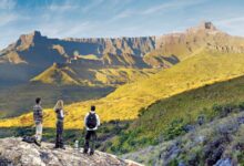 South African Hiking Trails for Beginners