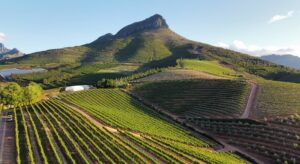 Stellenbosch The Heart of South African Wine