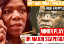 Thuli Madonsela Questions Jacob Zuma's Prosecution Over Arms Deal