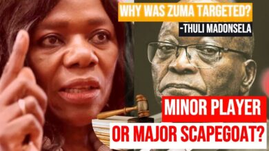 Thuli Madonsela Questions Jacob Zuma's Prosecution Over Arms Deal